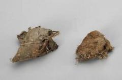 900年前の中国最古のちまきはどんな味？―中国メディアのイメージ画像