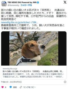 【島根】別々の飼い主の飼い犬４匹が次々「突然死」同じ時期、同じ場所を散歩散歩から帰って突然…嘔吐や下痢、口や肛門からの出血のイメージ画像