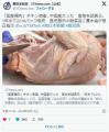国産鶏肉使用表示のチキン南蛮、中国..