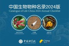 「中国生物種リスト2024年版」が発表、15万種超を収録―中国のイメージ画像