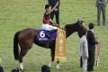 【天皇賞・秋（G1）展望】リバティア..