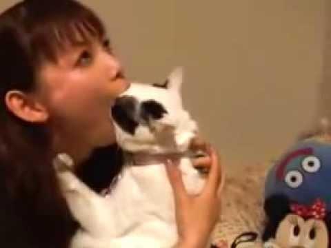 猫虐待やめろ しょこたんが誹謗中傷と殺害予告の事件について岡野弁護士と徹底追究 言葉はひとの命を奪うナイフになる 爆サイ Com北海道版