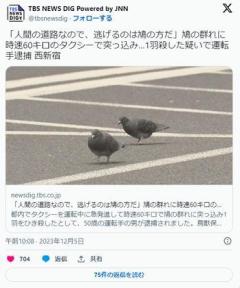 「人間の道路なので、逃げるのは鳩の方だ」鳩の群れに時速60キロのタクシーで突っ込み…1羽殺した疑いで運転手逮捕 西新宿のイメージ画像