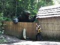 【ヒグマ速報】岬の遊歩道に『体長2～3メートルの巨大グマ』散策中の男性即避難し無事_北海道外から訪れバイクでツーリング中に立ち寄り遭遇…周辺で警戒続く〈北海道釧路町〉