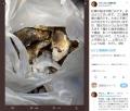 牡蠣の殻は「不燃？可燃？」ゴミ清掃..