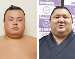 英乃海と紫雷、賭博関与を認める 相撲協会調査、27日に処分へのイメージ画像