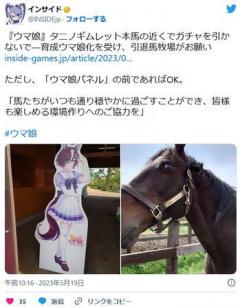 【競馬/ゲーム】『ウマ娘』タニノギムレット本馬の近くでガチャを引かないで―― 育成ウマ娘化を受け、引退馬牧場がお願い