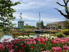 砺波チューリップ公園