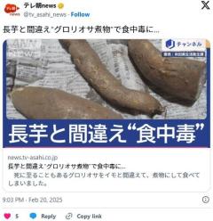 長芋と間違え“グロリオサ煮物”で食中毒に…のイメージ画像