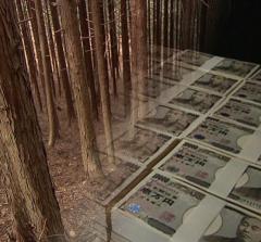 必要?「森林環境税」6月から1000円徴収も配布された渋谷区は9000万円使われず…全国で494億円未使用にのイメージ画像