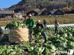 韓国に居住する外国人労働者、半数が月22万～33万円稼ぐ