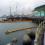 福島の港湾近くで高濃度汚染水計測(522)