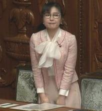 “日本版DBS”法案 衆議院を通過のイメージ画像