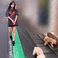 板野友美 愛犬との散歩写真アップも猛ツッコミ 誰が撮ってるの 芸能ニュース掲示板 ローカルクチコミ爆サイ Com九州版