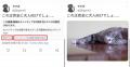 【2023】Twitter「センシティブな内容」..