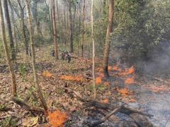 チェンマイのクンカーン国立公園の山火事、消化ボランティア1名死亡