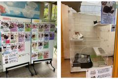 真城ホールディングス、名古屋市動物愛護センター愛護館へタオルを寄贈のイメージ画像