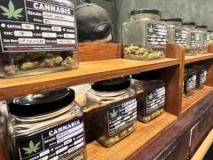 はじめまして、大麻大麻王です！
