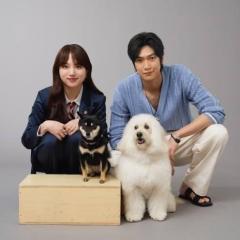 ナ・イヌの日本語に癒される視聴者続出 「なぜこんなにうまい」「『Eye Love You』の比じゃない」と評判 清原果耶主演「初恋DOGs」のイメージ画像
