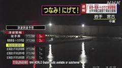 奄美・トカラに津波警報 気象庁「潮位の上昇は長く続く可能性が高い」…津波の要因は「正確には分かっていない」のイメージ画像