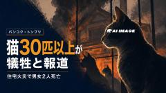 バンコク・トンブリの住宅火災で男女2人死亡、猫30匹以上も犠牲と報道のイメージ画像