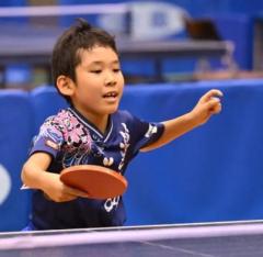 松野隼大、詹林智昕らが決勝トーナメント進出＜卓球・全農杯全日本ホカバ2025・カブ男子＞