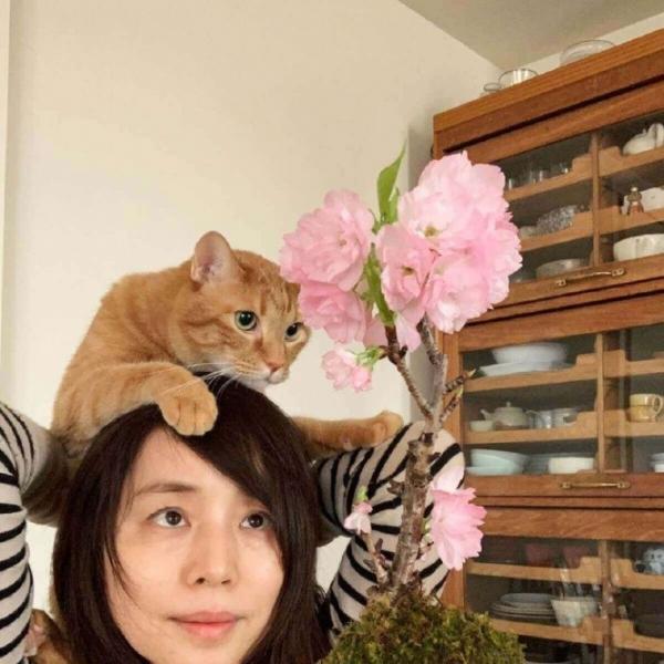 石田ゆり子、愛猫と苔玉で自宅お花見に大反響「花は枯れるから美しい」