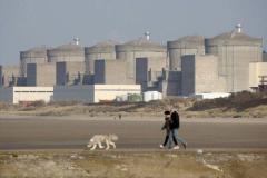大量のクラゲが発生し、原子力発電所が停止【フランス】のイメージ画像