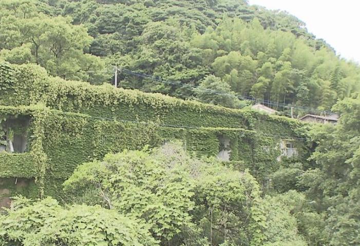 築74年“廃墟”のような団地が満室 家賃1万円と自由なDIYが魅力 「空き家」から「夢を叶える場」へ