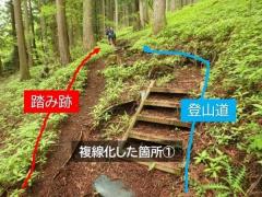 登山者による「踏み跡」問題神奈川県自然環境保全センターが警鐘のイメージ画像