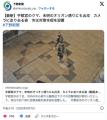 【動画】クマ、ついに東武宇都宮駅近くの繁華街にまで到達
