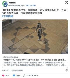 【動画】クマ、ついに東武宇都宮駅近くの繁華街にまで到達