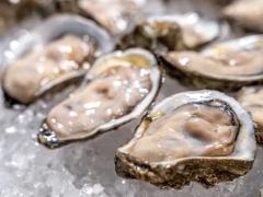 米国で「人食いバクテリア」による死者が増加中 海水浴や生牡蠣で感染のイメージ画像