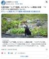 ｸﾚｰﾏｰ「熊を殺すな！熊かわいそ..
