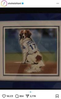 「俺のターンドロー」大谷翔平投手が愛犬デコピンの『遊戯王カード』を公開！そのレアすぎる詳細とは？？
