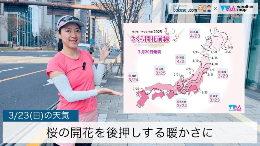 桜の開花を後押しする暖かさにのイメージ画像