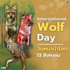 8月13日は「世界オオカミの日」タイには2種が生息のイメージ画像