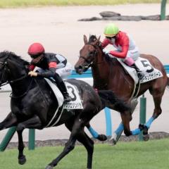 【競馬】小倉1RでJRA史上最低配当が出てしまう。「3連単で220円」のウラ事情