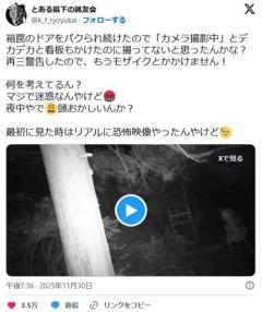 人間の命より熊が大事。動物愛誤さんが実力行使。深夜に箱罠のドアを盗ってしまう。のイメージ画像