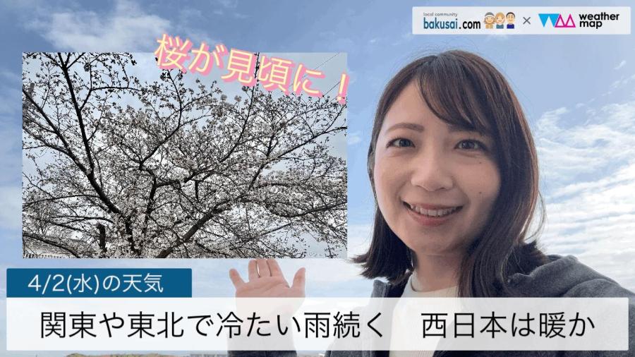 関東や東北では冷たい雨続く西日本は暖かのイメージ画像