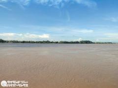 メコン川の魚に異変、全身にこぶ状の腫れタイ東北ルーイ県で漁師ら不安広がるのイメージ画像