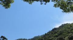 岐阜城を麓からのイメージ画像