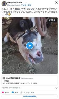 【悲報】酪農家、畜生発言をして炎上wwwwwww