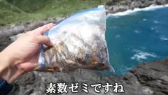 【うごめ紀】セミで大型魚は釣れる？自分に甘い無人島サバイバル生活開始！のイメージ画像