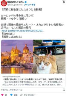 マルタ島のネコ虐殺日本人のオカムラサトシ、ガチで島民を怒らせる。「恥を知れ」「日本に叩き出せ」
