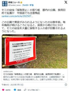 【蝉】セミの幼虫「採取禁止」の張り紙都内の公園、食用目的で乱獲か中国語でも注意喚起のイメージ画像