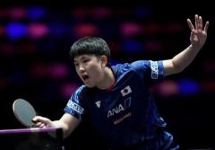 張本智和が9位、戸上隼輔が17位を維持｜卓球男子世界ランキング（2024年第39週）のイメージ画像