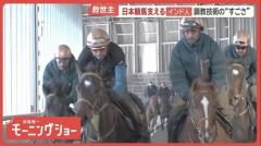 サラブレッド一大産地 北海道・浦河町にインド人急増のワケ 日本競馬支える調教技術のイメージ画像