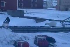 男性がホッキョクグマに襲われそうになり、間一髪で逃げ切る【動画】