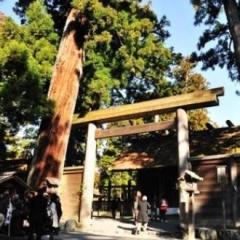 日本人の精神そのもの 中国人が神社参拝に学んだ神道の本質